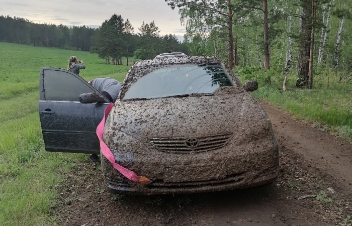 Вытаскиваем автомобиль из поля